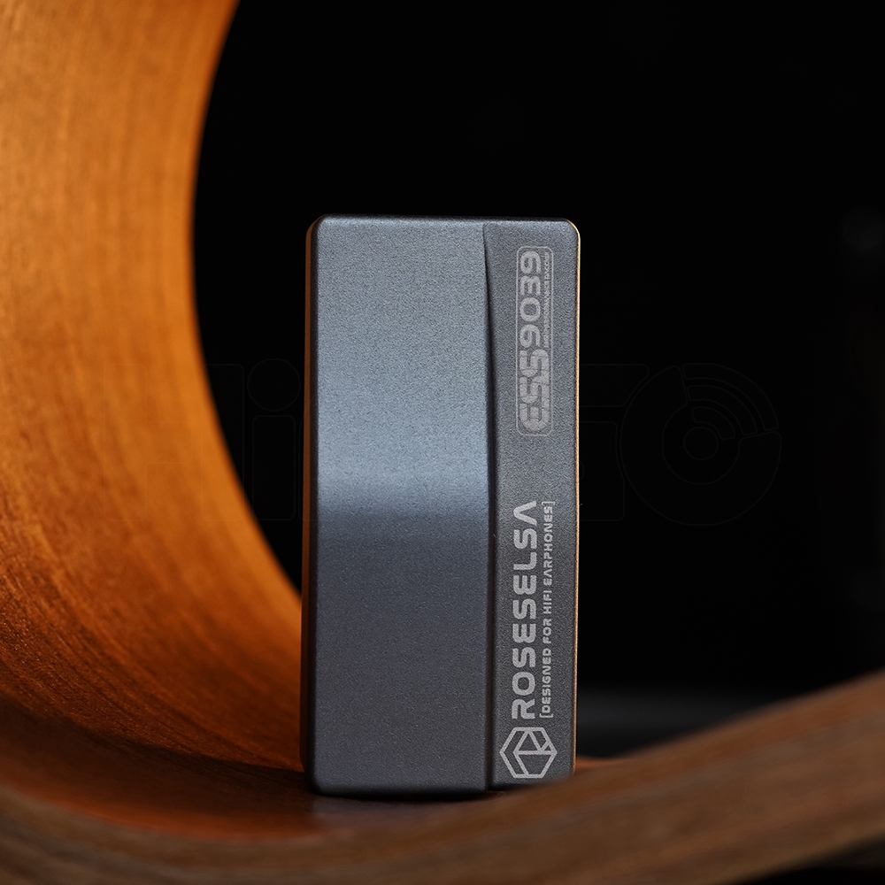 ROSESELSA RS9039 Portable Flag - Portable Amplifier Mini recension och pris