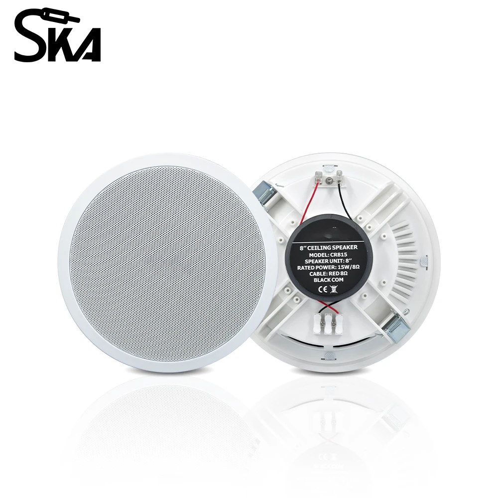 PW4420T+CR815 Smart Home Audio - Audio Music Background recension och pris
