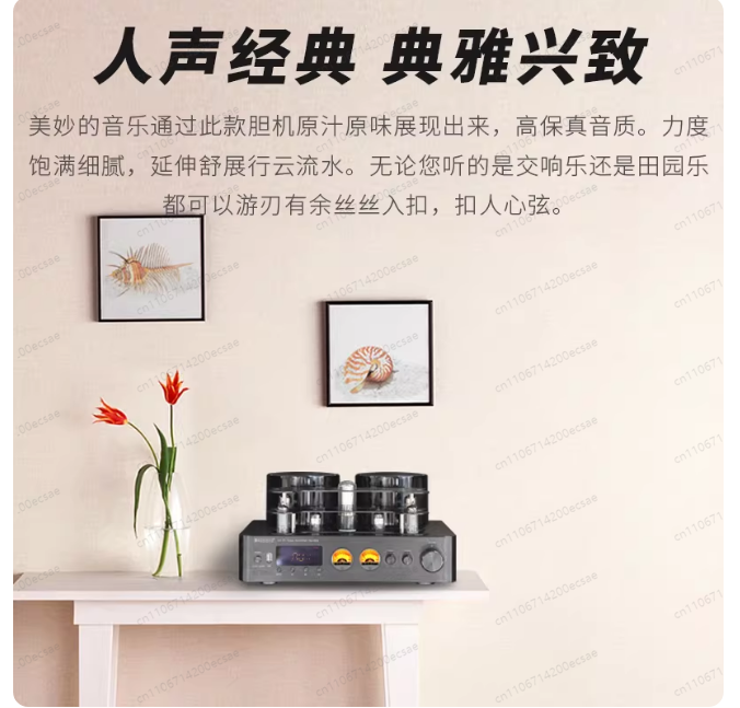 220V 400W * 2 High Fidelity Wi - Audio Youtube Music Free recension och pris