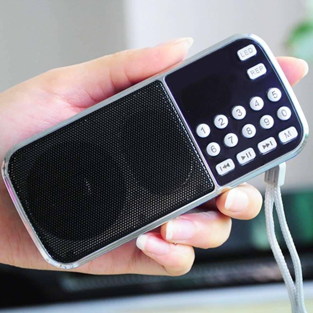 L-088 Portable HIFI Mini Speak - Portable Amplifier Mini recension och pris