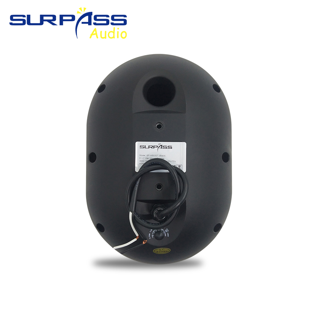 30W Wall-mounted Speaker Water - Audio Music Background recension och pris