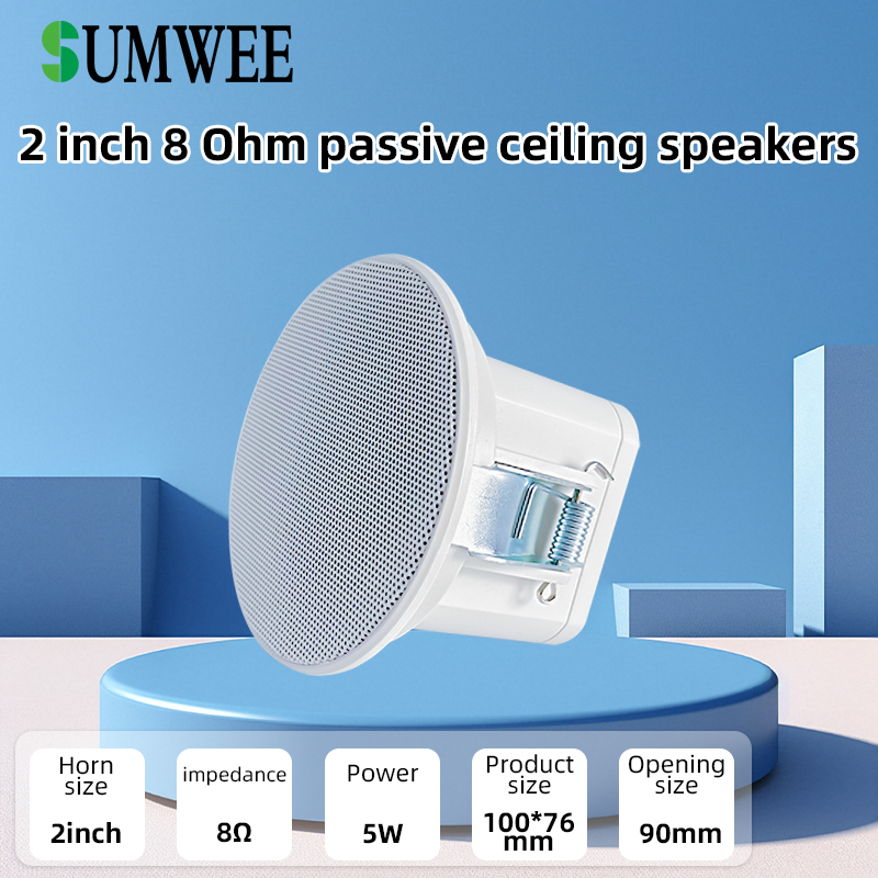2Inch Mini 8 Ohm Ceiling Speak - Audio Music Background recension och pris