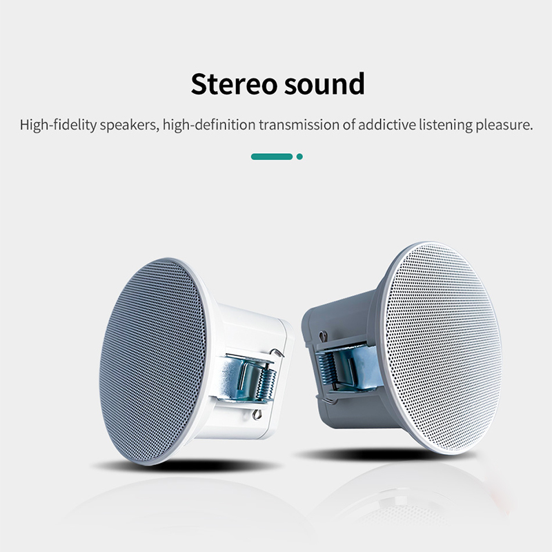 2Inch Mini 8 Ohm Ceiling Speak - Audio Music Background recension och pris